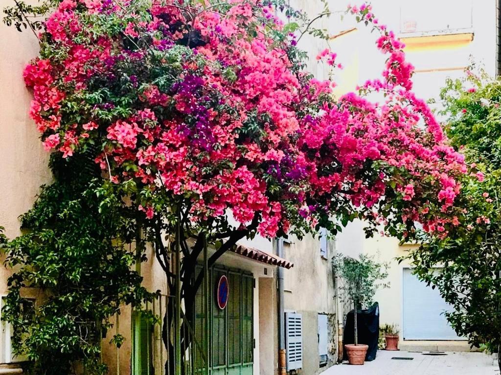 Апартаменти Le Caillou A La Ponche St Tropez Сен-Тропе Екстер'єр фото